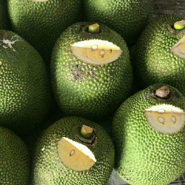 地狱血脉 视频主图