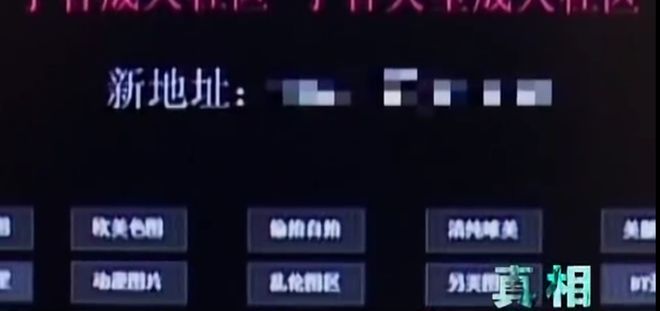 原振侠与卫斯理