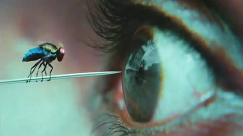 偷窥狂 产品图片