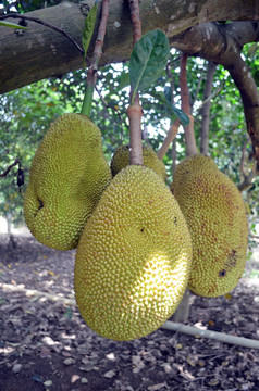 以爱为名 推荐视频