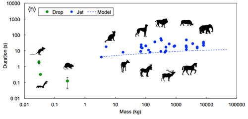 你房里有人 推荐视频