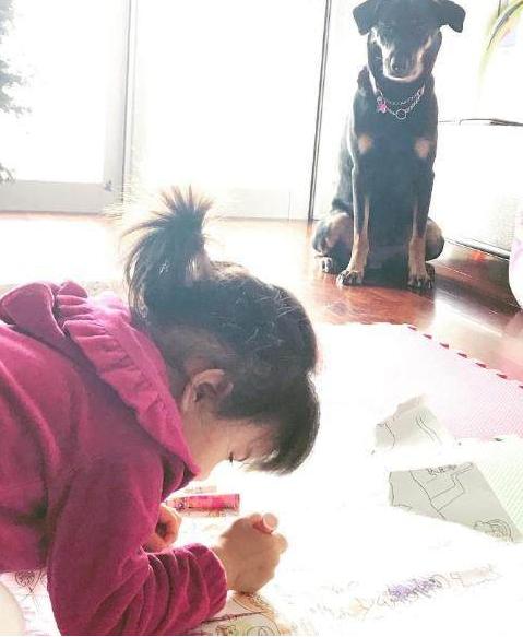 催命符之劫后重生