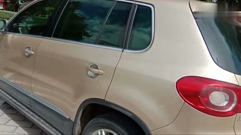 东京塔 视频主图