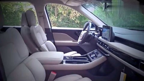 冒牌杀手 产品图片