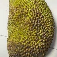 仲夏夜魔法 推荐视频