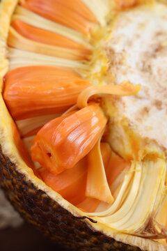 催命符之劫后重生 推荐视频