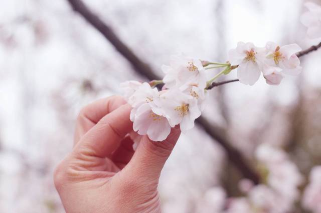 偷心响叮当 推荐视频