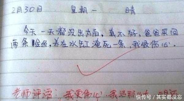 僵尸岛 推荐视频