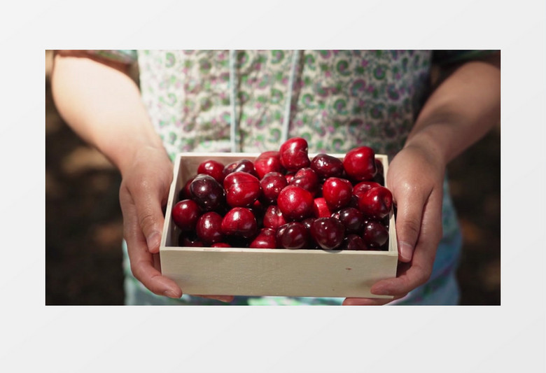 倔强萝卜 推荐视频