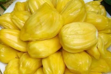 哈哈哈新年喜戏 推荐视频