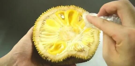 你房里有人 推荐视频