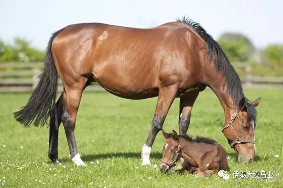 但是想结婚！BL漫画家的别扭婚活记 推荐视频