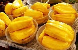 仇杀病房 推荐视频