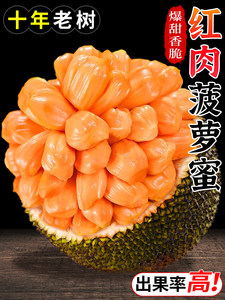 仕掛人・藤枝梅安 视频主图