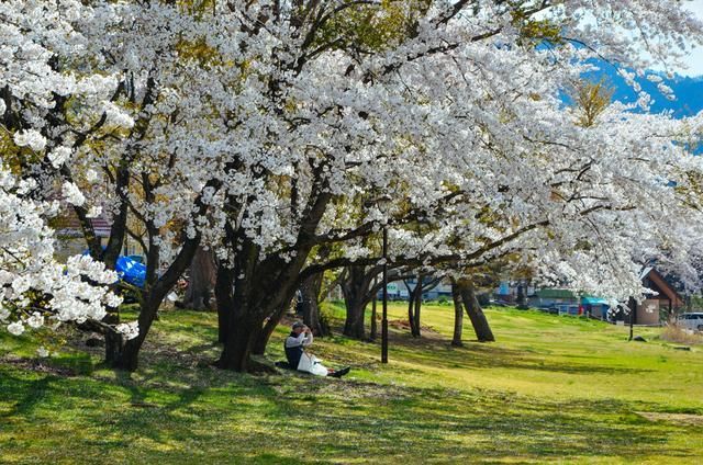 冤情必报 推荐视频