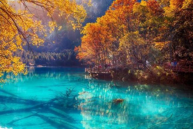 从零开始的异世界生活 雪之回忆