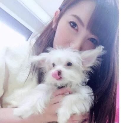 做个有钱人普通话版 推荐视频