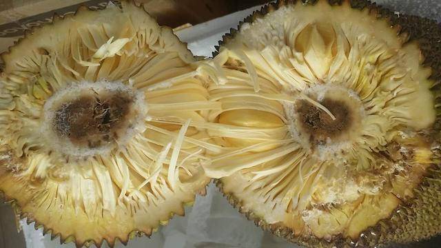 偷窥狂 推荐视频