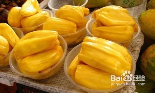 仙医神厨3 推荐视频