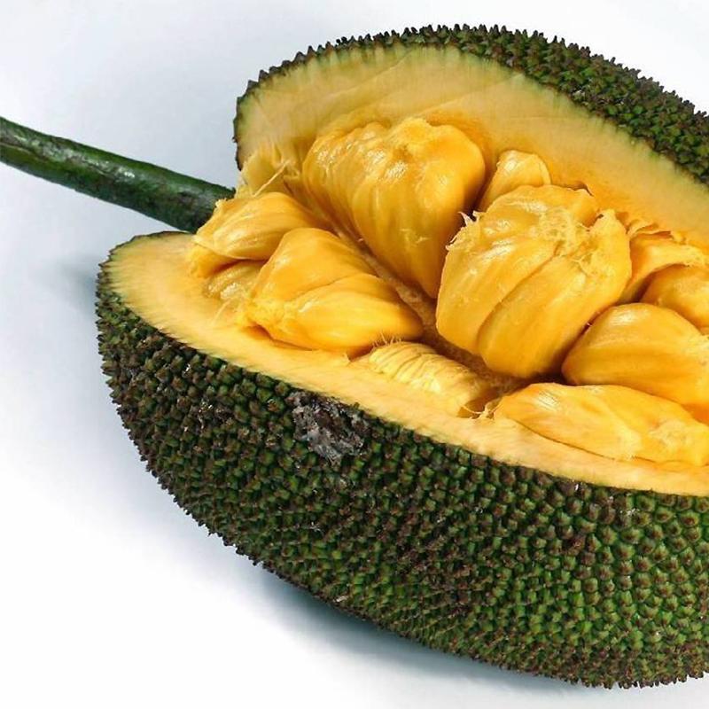 偷心响叮当 推荐视频