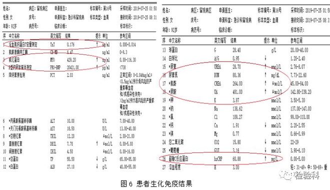 仙医神厨3 推荐视频
