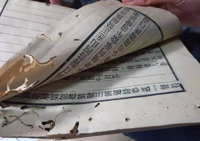 儿子、孙子和种子 推荐视频