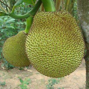 催眠·裁决 推荐视频