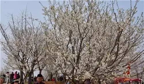 僵尸大时代 推荐视频