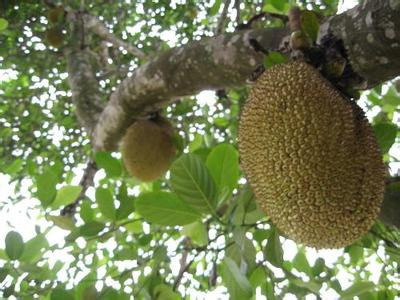 作家之殇 推荐视频