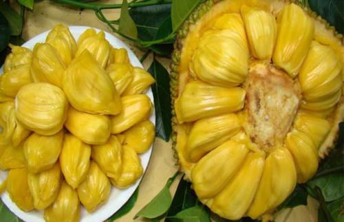 偷渡者 推荐视频