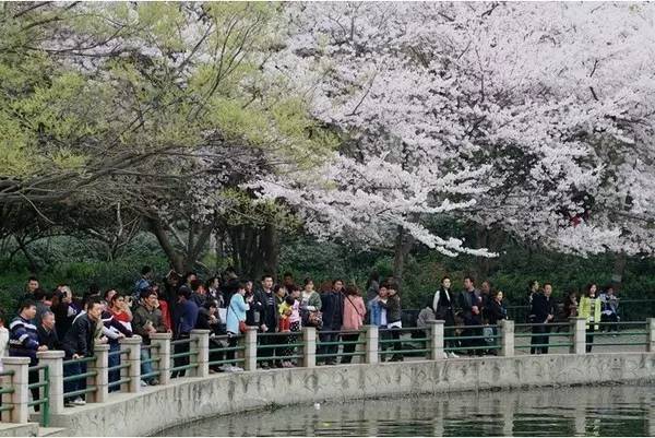 保持通话 推荐视频