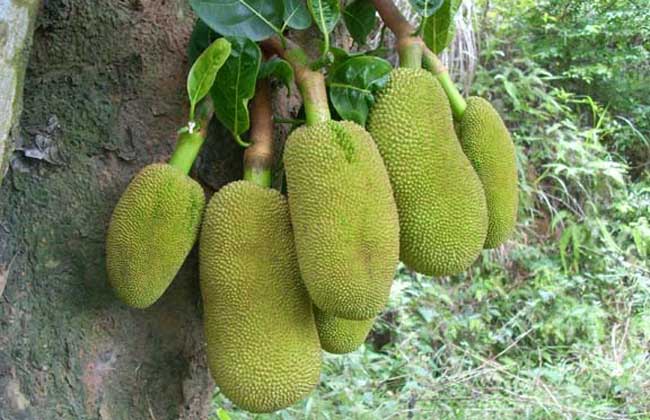 偷心响叮当 推荐视频