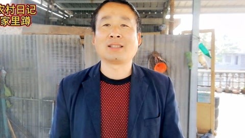 保险库 推荐视频