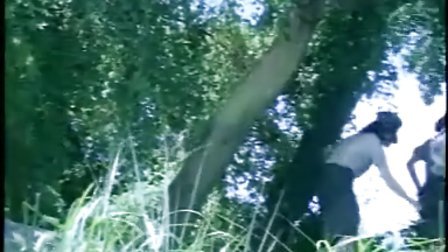 侠骨仁心（国语版） 推荐视频