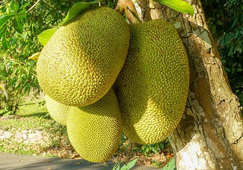 僵尸刑警 推荐视频