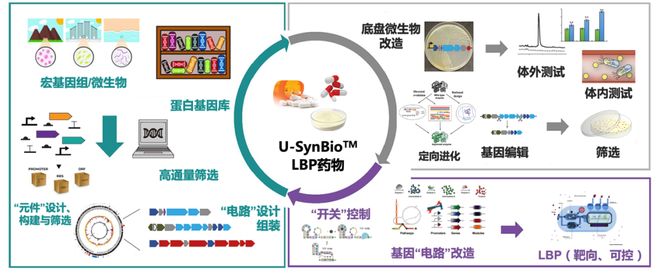 伊娜：初生之犊 推荐视频