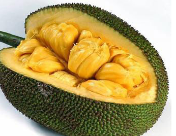 侠盗义贼 推荐视频