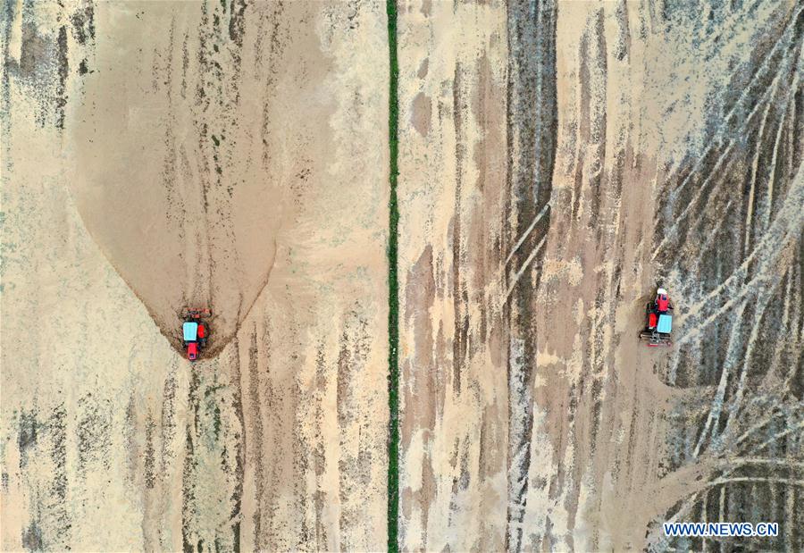 冒牌上流 产品图片