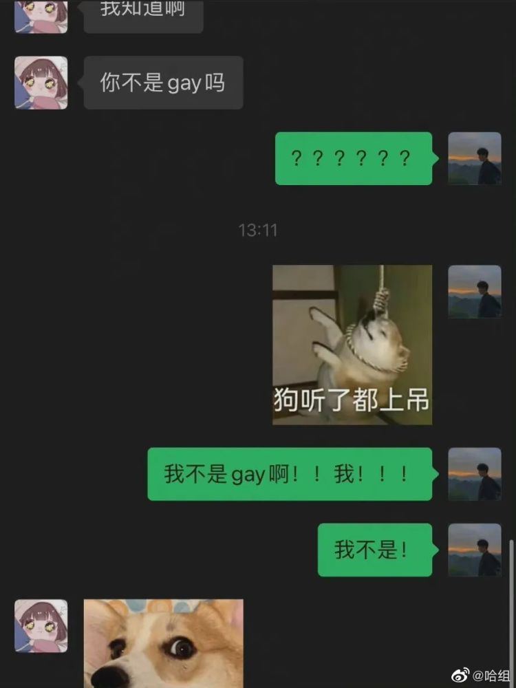 冤情必报 推荐视频
