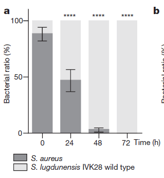 傀儡人 产品图片