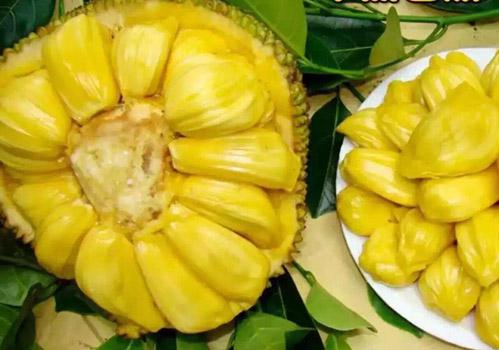 候选人 推荐视频