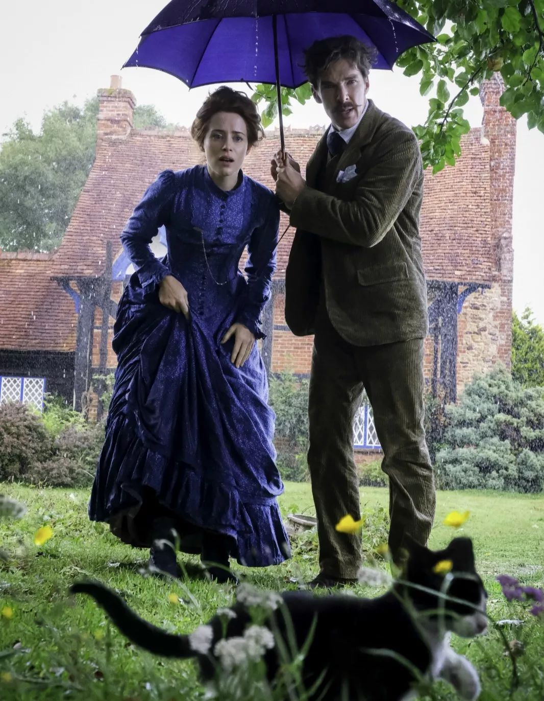 冰封之地 产品图片