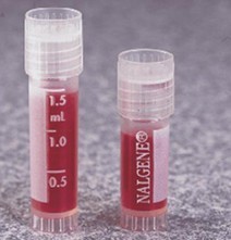 今天开始世界属于你 推荐视频