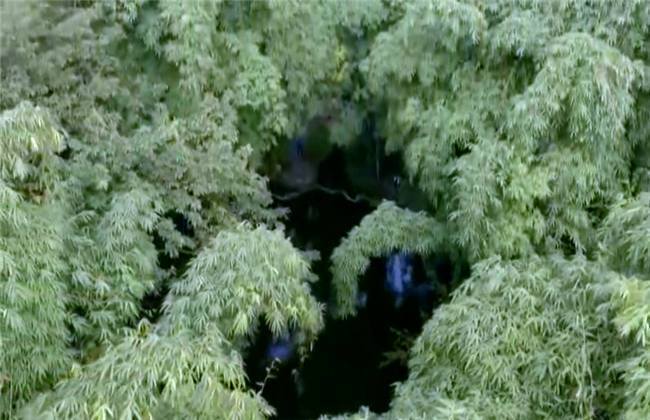 以爱为名 推荐视频