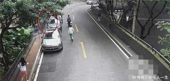 仙人坝的红衣兜 视频主图