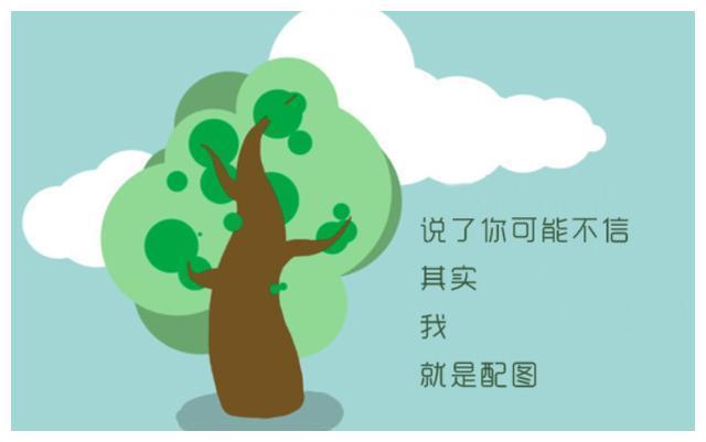 伊甸园之海 推荐视频