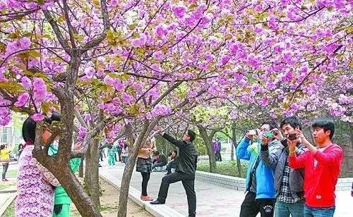 仇杀病房 产品图片