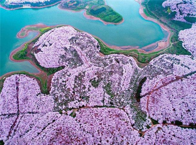 伦敦父女档 产品图片