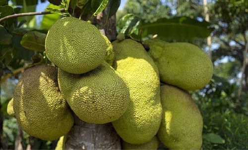 使徒行者（粤语版） 产品图片