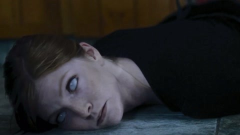 何以为家 推荐视频